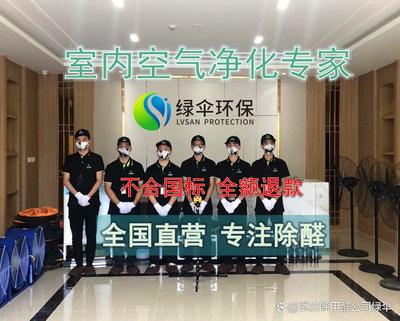 2024年武汉除甲醛公司哪家专业？强烈推荐！
