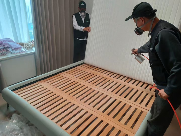 除甲醛过程